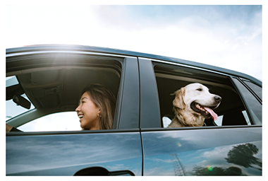 image of woman driving with dog in rear seat looking out the window