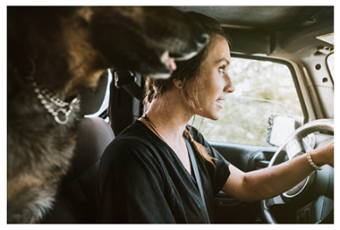 image of a woman driving with her dog in the backseatlooking over her shoulder out the windscreen